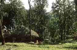 Maison forestière à l'entrée du parc de Similipal