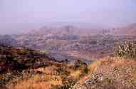 Paysage du Rajasthan près d'Udaipur