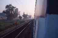 Train dans la plaine du Gange